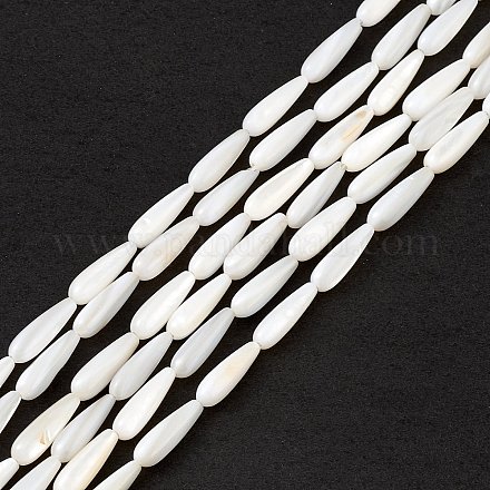Eau douce naturelle de coquillage perles brins SHEL-M018-09-1