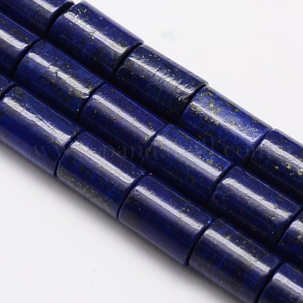 Natural Lapis Lazuli Column Bead Strands G-M265-12-1