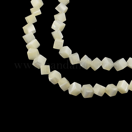 Brins de perles de coquillage trochid naturel / coquillage trochus SSHEL-F290-15-1