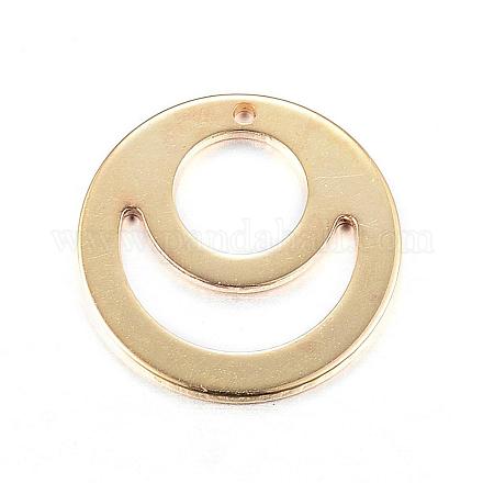 304 Stainless Steel Charms STAS-N0023-10G-1