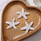 UV Plating Ocean Theme Transparent Resin Cabochons, Iridescent, Starfish, 38x39x8mm