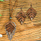 Bohemian Style Alloy & Wood Pendant Necklaces & Dangle Earrings Sets, Leaf, Golden, 400mm