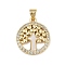 Brass Micro Pave Cubic Zirconia Pendants, Tree, with Shell, Cadmium Free & Lead Free, Golden, 21x18x2.5mm, Hole: 3x3.5mm