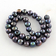 Natural Cultured Freshwater Pearl Beads Strands PEAR-R012-02-2