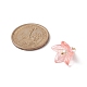 アクリルパーツ  シェルパールビーズとステンレススチールのパーツ304個付き  花のチャーム  ミックスカラー  15.5x15.5mm  穴：2mm PALLOY-TA00023-3