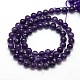 Natural Amethyst Round Bead Strands G-L170-6mm-01-2