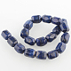 Dyed Natural Lapis Lazuli Bead Strands G-E211-07-2