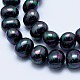Electroplate Shell Pearl Beads Strands BSHE-G006-04F-3