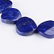 Dyed Twisted Flat Round Natural Lapis Lazuli Bead Strands G-F272-10-1