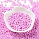 Baking Paint Glass Seed Beads SEED-H002-I-A528-2
