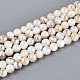 Нити бусин из натуральных пресноводных раковин цвета ab BSHE-T014-40D-1