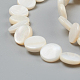 Perles de coquillages naturels d'eau douce BSHE-I011-01D-02-3