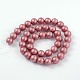 Round Shell Pearl Bead Strands BSHE-J011-8mm-M-2
