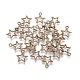 Tibetan Style Alloy Charms MLF10651Y-NF-2