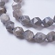 Chapelets de perles en labradorite naturelle  G-F568-042-10mm-3