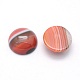 Natural Red Banded Agate Cabochons G-P393-R40-10MM-2