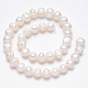Natural Cultured Freshwater Pearl Beads Strands SPPA007Y-1-2