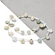 Brins de perles d'amazonite de fleurs naturelles&nbsp;G-Q167-A10-01-2