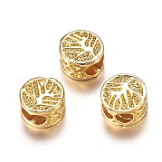 Латунные бусины ZIRC-F067-09G-RS