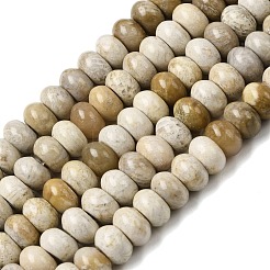 Природные окаменелые коралловые бусы пряди&nbsp;G-A280-A08-02