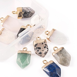 10 шт. 10 стильные остроконечные подвески из натуральных драгоценных камней&nbsp;G-LS0002-04