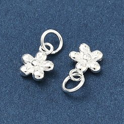 925 Sterling Silber Charme&nbsp;STER-A050-03A-S