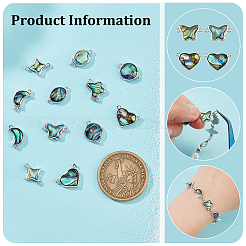 12 шт. 6 стиля подвески-соединители из ракушки пауа&nbsp;FIND-FH0007-96P