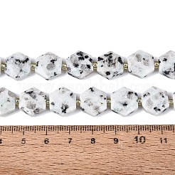 Cuentas de jaspe de sésamo naturales hebras&nbsp;G-N368-01A-19