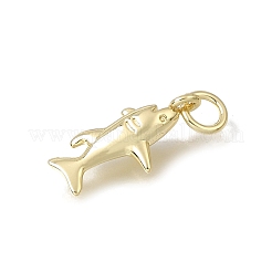 Pendentifs en laiton&nbsp;KK-CBA79EB-05C-G