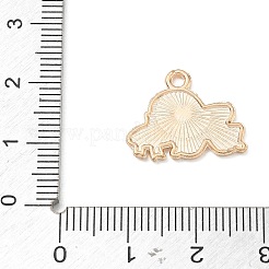 Pendente smaltati in lega&nbsp;AL-CBA67E2-02KGC-05