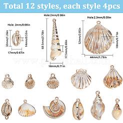 48шт 12 стиля покрытия акриловые подвески&nbsp;OACR-SC0001-94