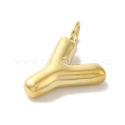 Pendentifs en acier inoxydable 304 avec placage ionique (IP)&nbsp;STAS-K263-47G-Y