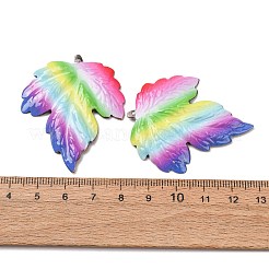 Pendentifs en fer imprimé aux couleurs de l'arc-en-ciel&nbsp;RN-CBA3547-02E