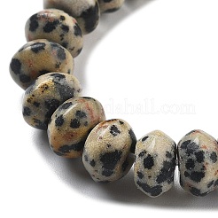 Природные яшмы далматин бисер нитей&nbsp;G-P559-A01-01