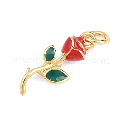 Messing Anhänger & Charms&nbsp;KK-H273-44G-02