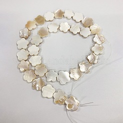 Naturali di acqua dolce perline shell fili&nbsp;SHEL-WH0007-01