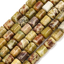 Натуральный дракон яшма кровь бисер пряди G-S396-03C