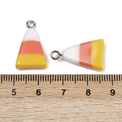 Подвески из непрозрачной смолы RESI-C062-01