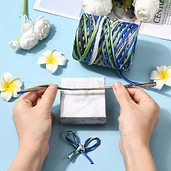 Сегментированные окрашенные шнуры из рафии для поделок своими руками&nbsp;OCOR-WH20020-27B