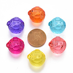 Прозрачные акриловые подвески TACR-T024-05B