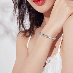 Bracelets de montre à chaîne panthère en acier inoxydable 304&nbsp;JB679A