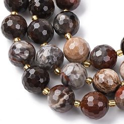 Природные окаменелое дерево бисер пряди G-C249-A24-16MM