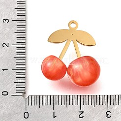 Подвески из акрила из нержавеющей стали 304 X1-STAS-E549-01G-01