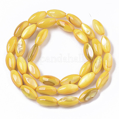 天然淡水シェルビーズ  染料  ライス  ゴールド  11x5mm  穴：0.8mm  32個/連  13.98インチ（35.5cm）&nbsp;SHEL-R047-02G