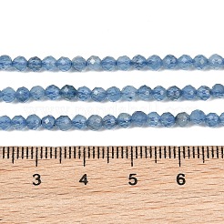 Brins de perles d'aigue-marine bleu diable naturel&nbsp;GG-CBAF158-D01-05