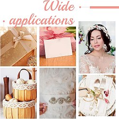 6 ярд двухцветных вышитых лент DIY-AR0002-34