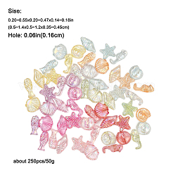 250шт 50г прозрачные акриловые бусины&nbsp;TACR-FP0001-05