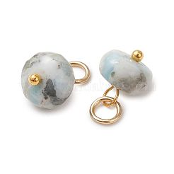Natürliche Larimar Anhänger&nbsp;PALLOY-JF05885