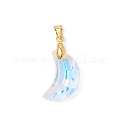 Цвет AB покрытием стеклянные подвески PALLOY-JF04595-01