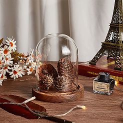 Couvercle de dôme en verre&nbsp;AJEW-WH0475-19C